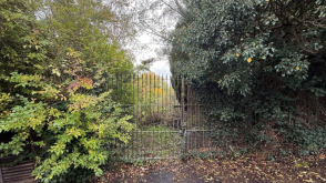 Development Plot in Lanesfield photo